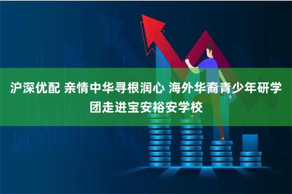 沪深优配 亲情中华寻根润心 海外华裔青少年研学团走进宝安裕安学校